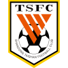 Shandong Taishan